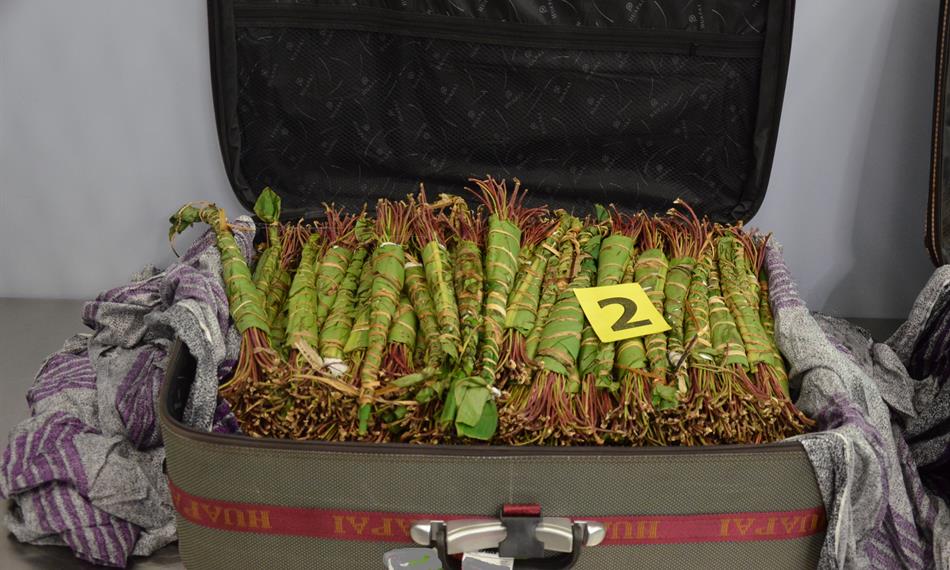 2014-10-20-90foto khat 5.jpg